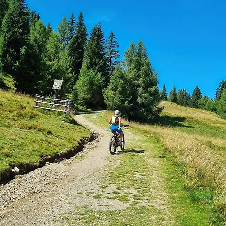 Almhuette In Murau Nahe Skipiste Lassnitz bei Murau