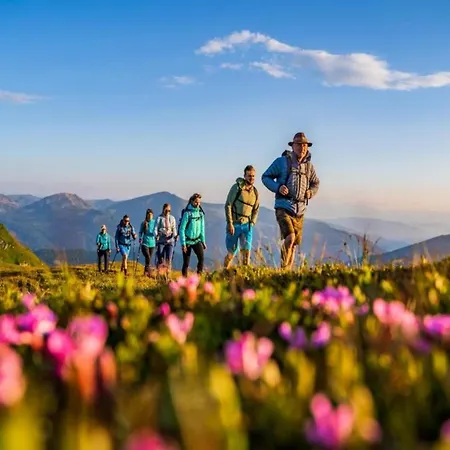 Σαλέ Almhuette In Murau Nahe Skipiste Lassnitz bei Murau
